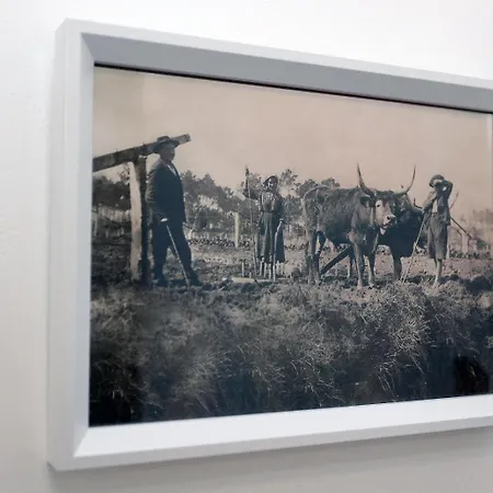 Apartmán A Corte Azenhas