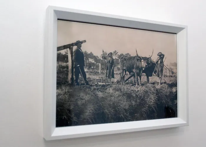 Διαμέρισμα A Corte Azenhas